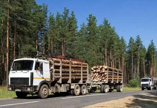 Лесовоз Лесовозы для перевозки леса, аренда и услуги. взять в аренду, заказать, цены, услуги - Кетово