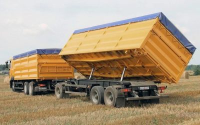 Услуги зерновозов для перевозки зерна - Петухово, цены, предложения специалистов