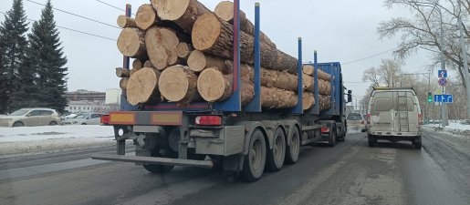 Поиск транспорта для перевозки леса, бревен и кругляка стоимость услуг и где заказать - Курган