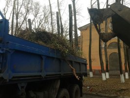 Поиск техники для вывоза и уборки строительного мусора стоимость услуг и где заказать - Шадринск