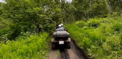 Квадроцикл Прокат и катание на квадроциклах взять в аренду, заказать, цены, услуги - Шадринск